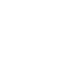 Guaranteed Irish Import Store