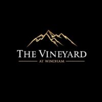 The Vineyard At Windham